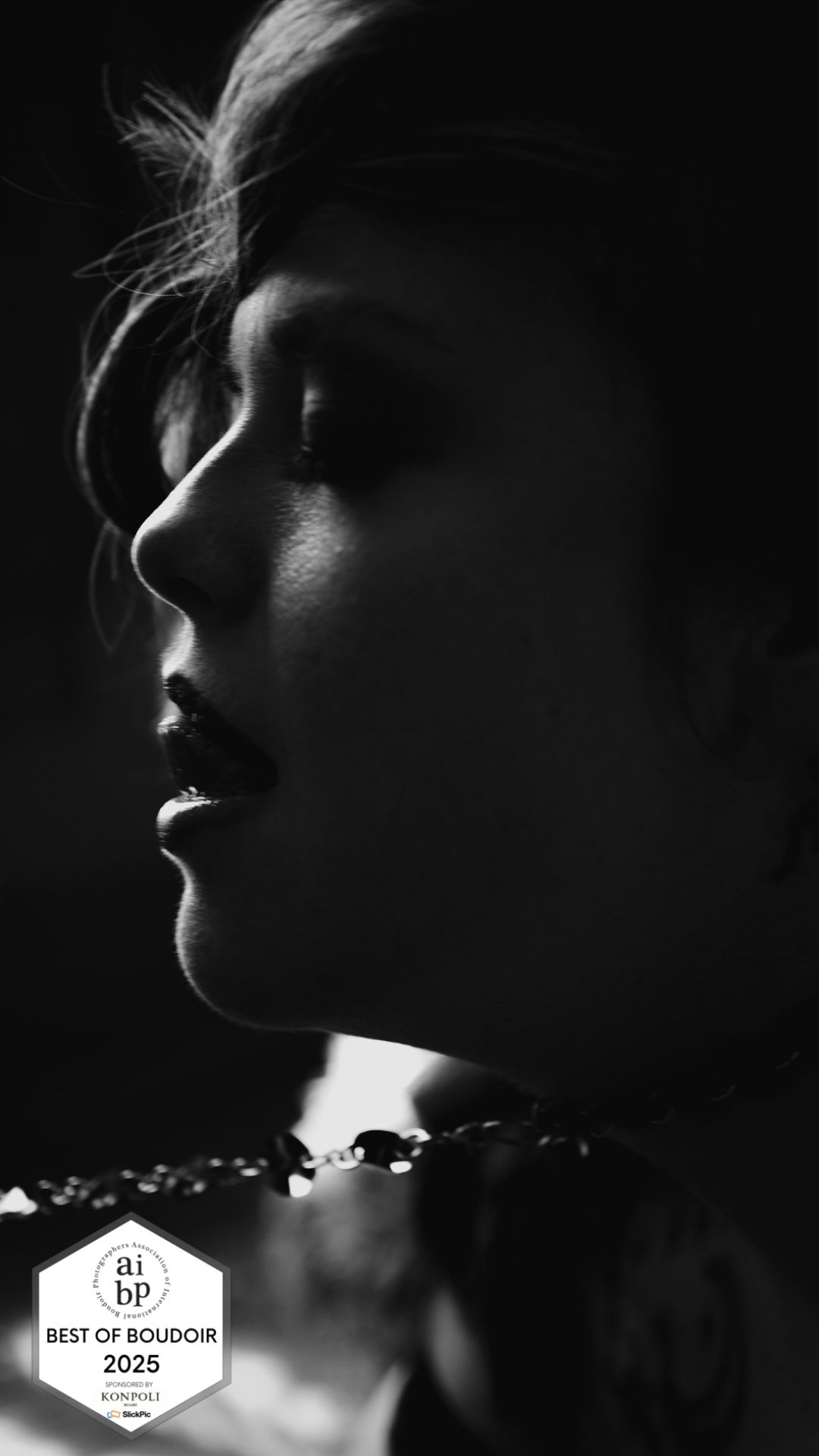 AIBP Best of Boudoir 2025 award, dramatic side profile boudoir portrait, Kalamazoo photographer Betsy McCue